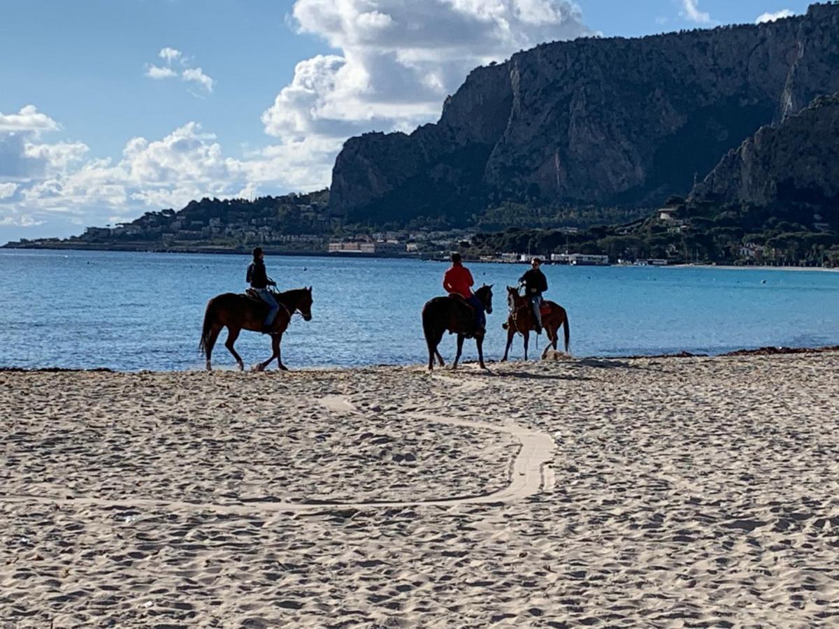 Mondello Beach Luxury Apartments パレルモ エクステリア 写真